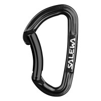 Salewa Karabiner HOT G3